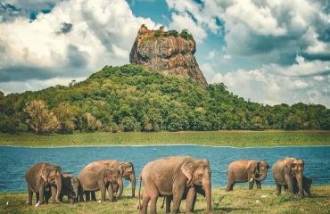 Sigiriya