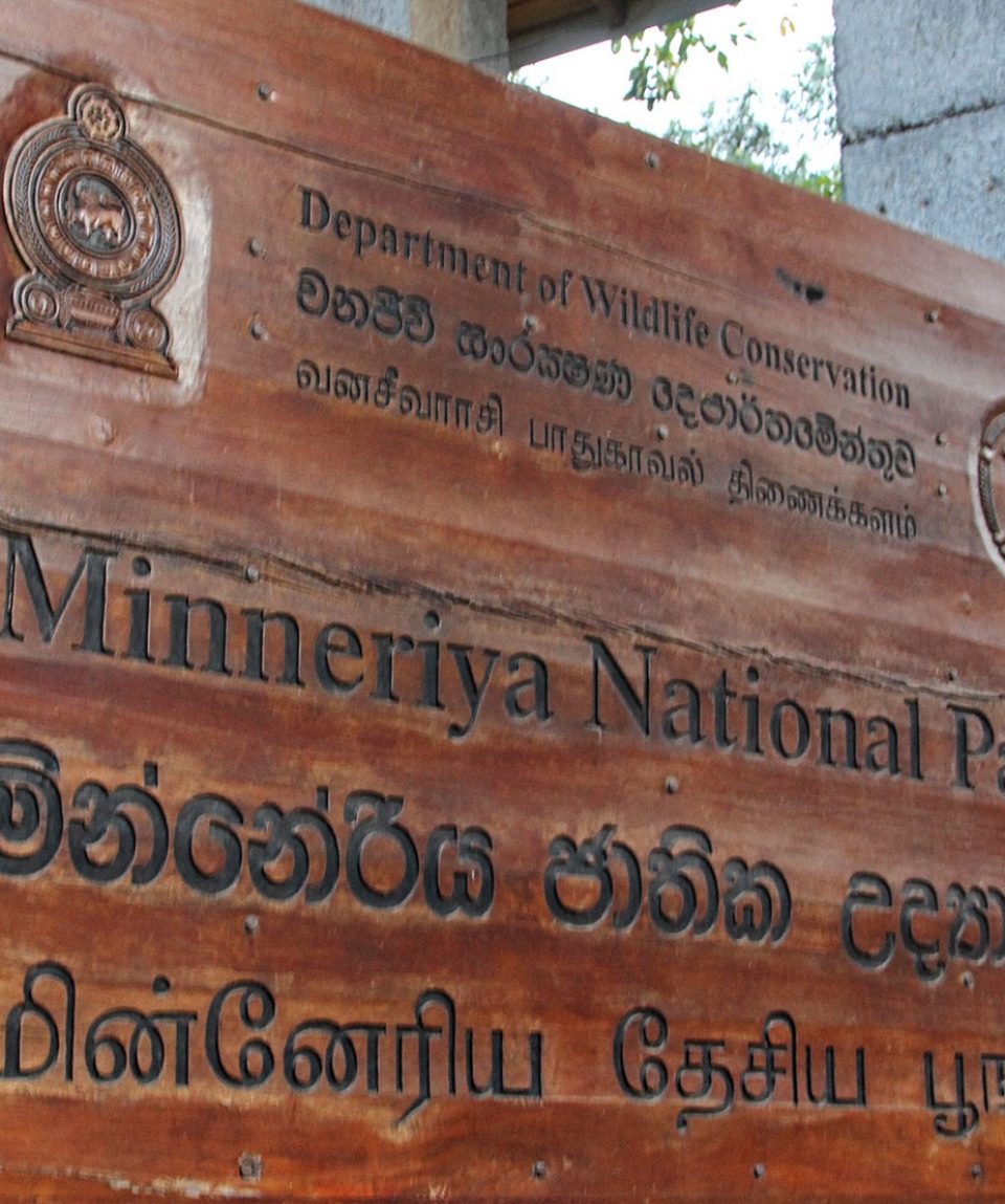 minneriya-national-park